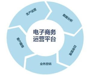電子商務(wù)技能與培訓(xùn) 數(shù)字時代的商業(yè)新引擎