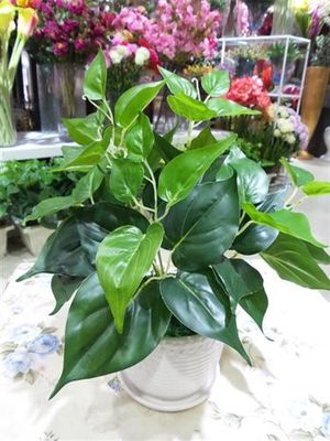 福州市臺(tái)江區(qū)心安花藝店 專業(yè)提供高仿真工程裝飾植物與草墻材料批發(fā)