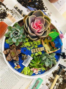 深圳花藝沙龍 以芬芳為紐帶，深化客戶情誼的聚會(huì)與花藝工程