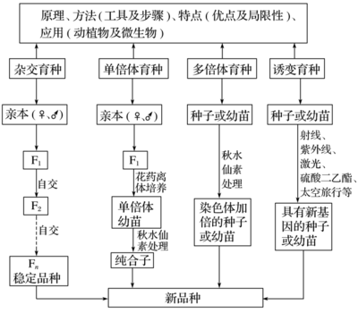 生物育種 2019高考生物二輪復(fù)習(xí)專(zhuān)題六核心突破（含學(xué)案答案）