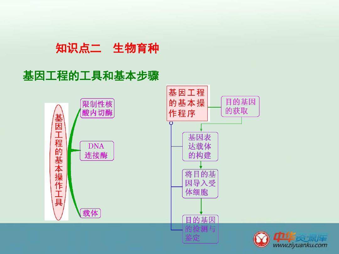 2016屆湖南長(zhǎng)沙長(zhǎng)郡中學(xué)高三生物一輪復(fù)習(xí)課件:人類(lèi)遺傳病與生物育種(