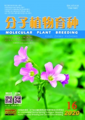 分子植物育種 技術(shù)突破與生物時(shí)代的育種實(shí)踐