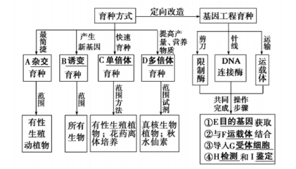 2019-2020高中生物第6章 從雜交育種到基因工程章末知識(shí)整合